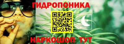 MDMA Можга