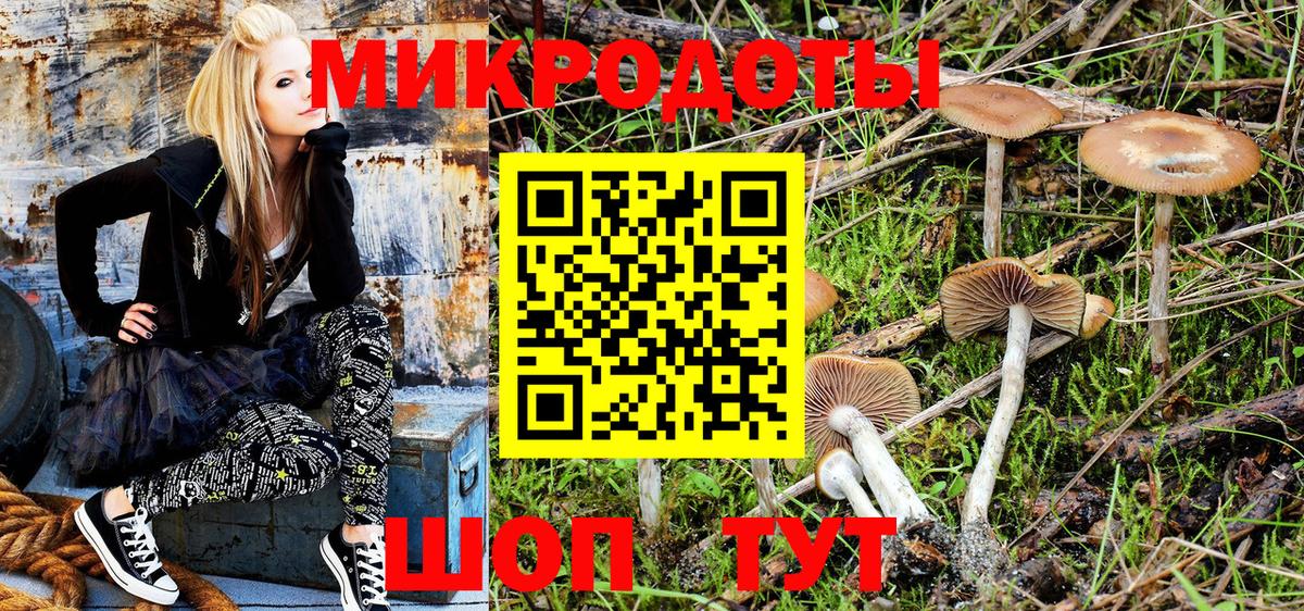 Видное  Псилоцибиновые грибы Psilocybe  Вход с VPN 